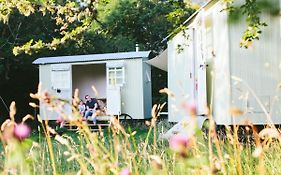 Snowdonia Shepherds' Huts